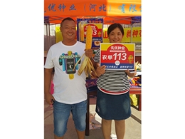 113观摩会