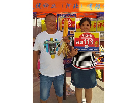113观摩会