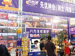 全国招商会议