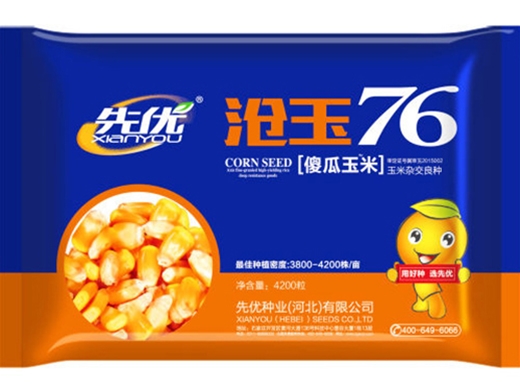 沧玉76玉米种