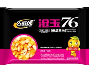 沧玉76玉米种